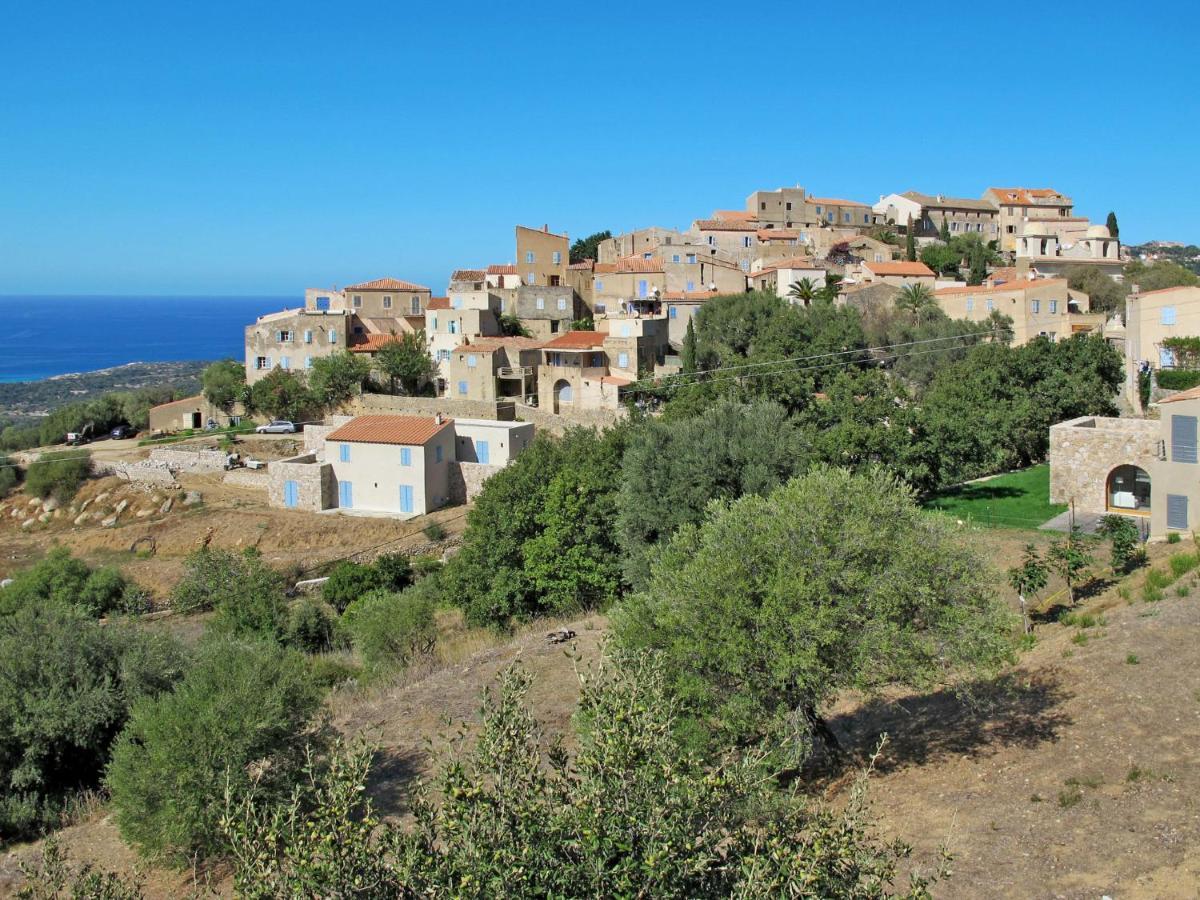 Apartment Thalassa - Cal200 By Interhome Corsica Island Zewnętrze zdjęcie