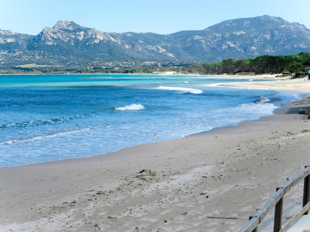 Apartment Thalassa - Cal200 By Interhome Corsica Island Zewnętrze zdjęcie